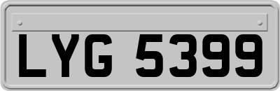 LYG5399