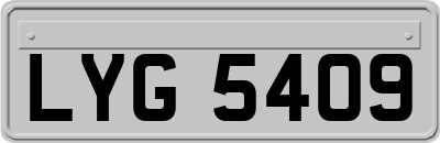 LYG5409
