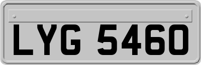 LYG5460