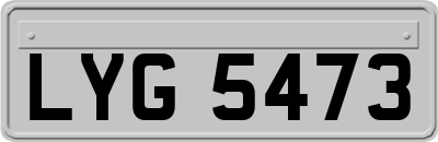 LYG5473