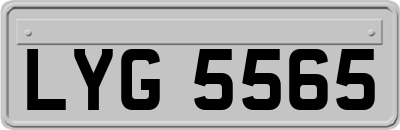 LYG5565
