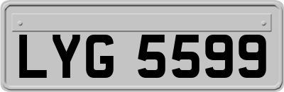 LYG5599