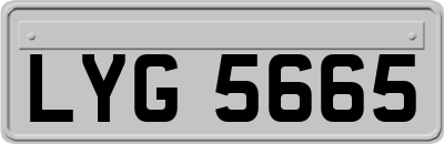 LYG5665