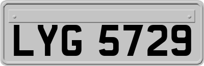 LYG5729