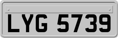 LYG5739