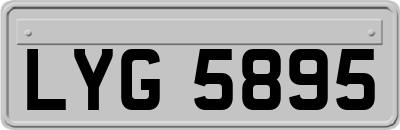 LYG5895