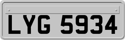 LYG5934