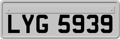 LYG5939