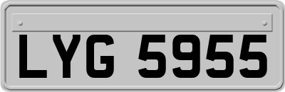 LYG5955
