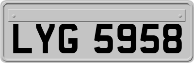 LYG5958