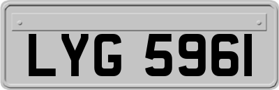 LYG5961