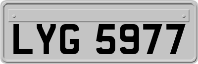 LYG5977