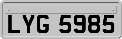 LYG5985