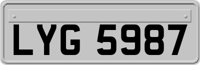 LYG5987