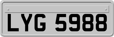 LYG5988