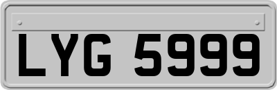 LYG5999