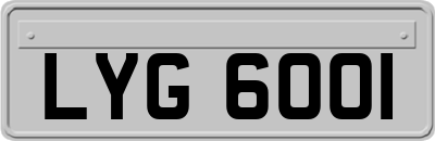 LYG6001