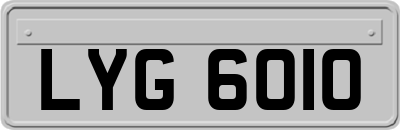 LYG6010