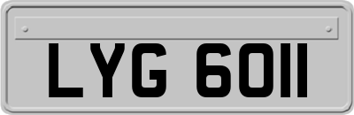 LYG6011