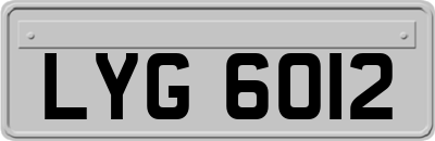 LYG6012