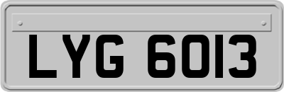 LYG6013