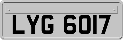 LYG6017