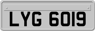 LYG6019