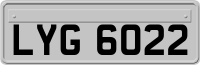 LYG6022