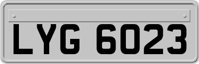 LYG6023