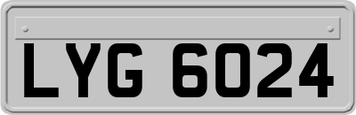 LYG6024