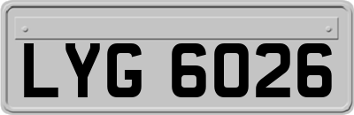 LYG6026