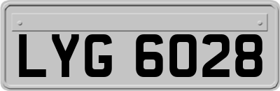LYG6028
