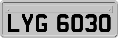 LYG6030