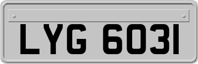 LYG6031