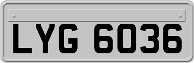 LYG6036