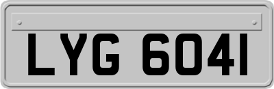 LYG6041