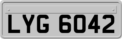 LYG6042