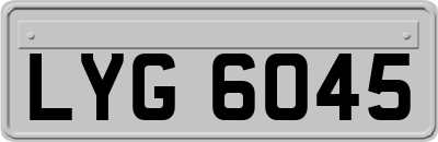 LYG6045