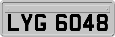LYG6048
