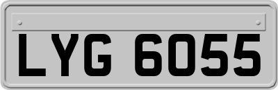 LYG6055