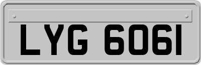 LYG6061