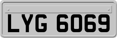 LYG6069