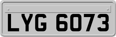 LYG6073