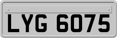 LYG6075
