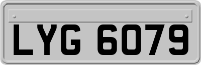 LYG6079