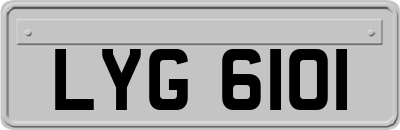 LYG6101
