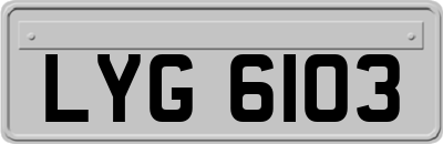 LYG6103