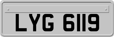 LYG6119