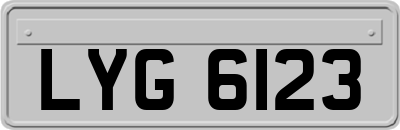 LYG6123