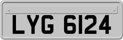 LYG6124